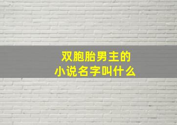 双胞胎男主的小说名字叫什么