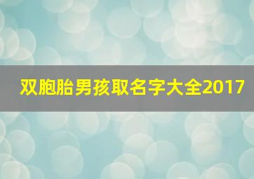 双胞胎男孩取名字大全2017