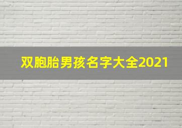 双胞胎男孩名字大全2021