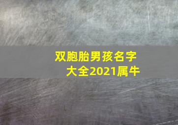 双胞胎男孩名字大全2021属牛