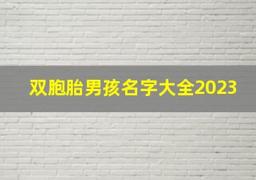 双胞胎男孩名字大全2023