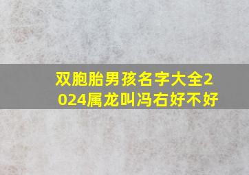 双胞胎男孩名字大全2024属龙叫冯右好不好