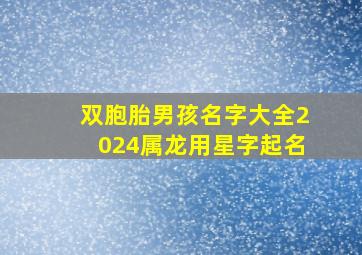 双胞胎男孩名字大全2024属龙用星字起名