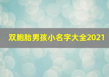 双胞胎男孩小名字大全2021