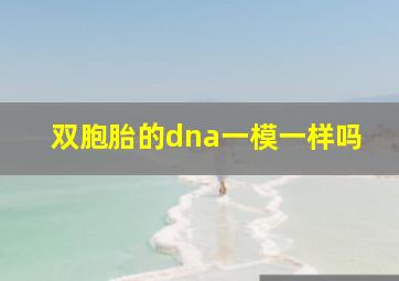 双胞胎的dna一模一样吗