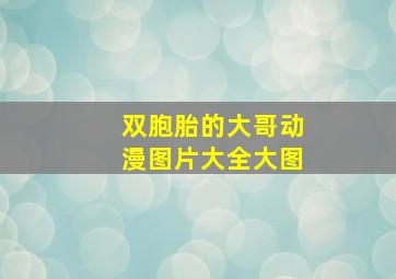 双胞胎的大哥动漫图片大全大图