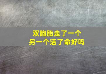 双胞胎走了一个另一个活了命好吗