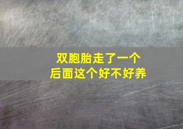 双胞胎走了一个后面这个好不好养