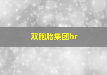 双胞胎集团hr