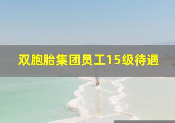 双胞胎集团员工15级待遇