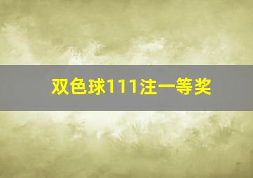 双色球111注一等奖