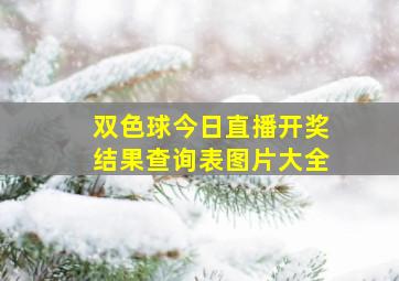 双色球今日直播开奖结果查询表图片大全