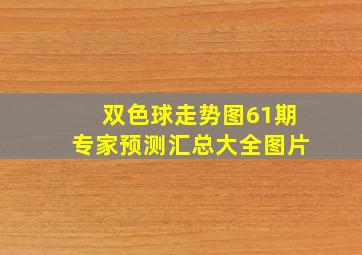 双色球走势图61期专家预测汇总大全图片