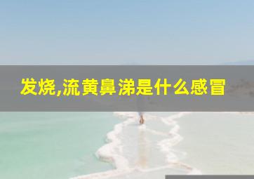 发烧,流黄鼻涕是什么感冒