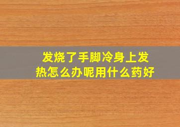 发烧了手脚冷身上发热怎么办呢用什么药好