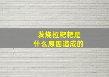 发烧拉粑粑是什么原因造成的