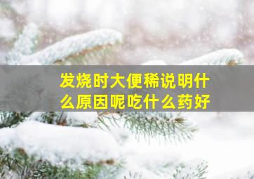 发烧时大便稀说明什么原因呢吃什么药好