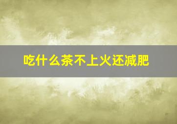 吃什么茶不上火还减肥