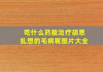 吃什么药能治疗胡思乱想的毛病呢图片大全