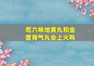 吃六味地黄丸和金匮肾气丸会上火吗