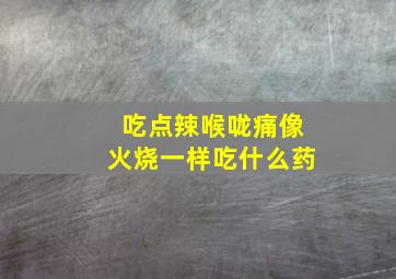 吃点辣喉咙痛像火烧一样吃什么药