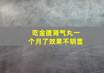 吃金匮肾气丸一个月了效果不明显