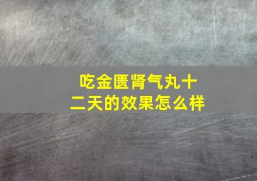 吃金匮肾气丸十二天的效果怎么样