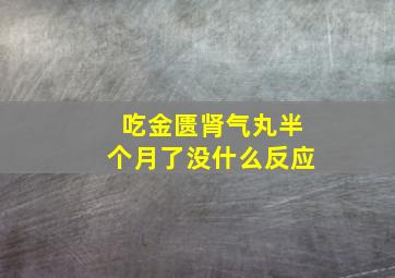 吃金匮肾气丸半个月了没什么反应