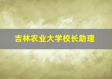 吉林农业大学校长助理