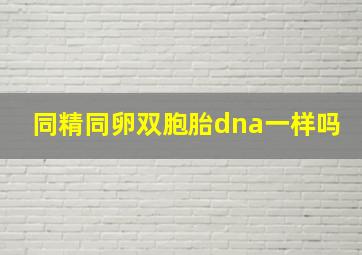 同精同卵双胞胎dna一样吗