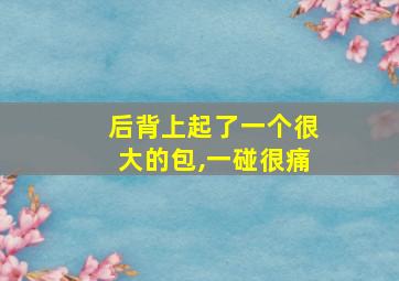 后背上起了一个很大的包,一碰很痛