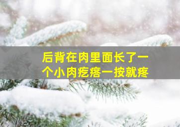 后背在肉里面长了一个小肉疙瘩一按就疼