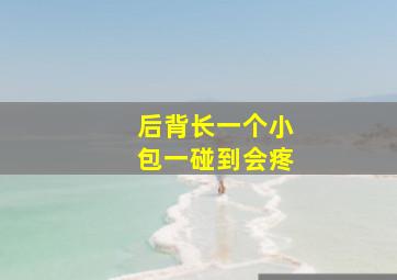 后背长一个小包一碰到会疼