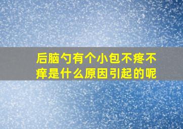 后脑勺有个小包不疼不痒是什么原因引起的呢