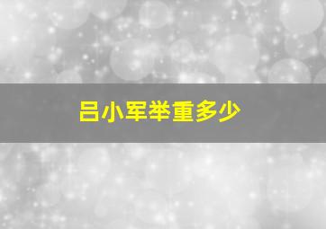 吕小军举重多少