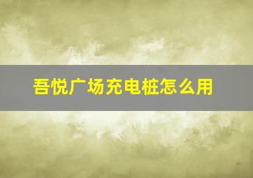 吾悦广场充电桩怎么用