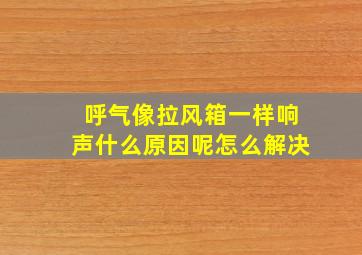 呼气像拉风箱一样响声什么原因呢怎么解决