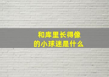 和库里长得像的小球迷是什么