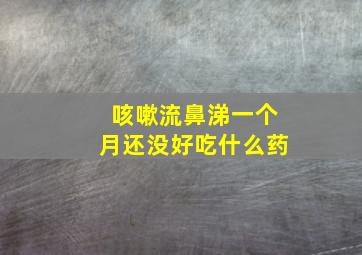 咳嗽流鼻涕一个月还没好吃什么药