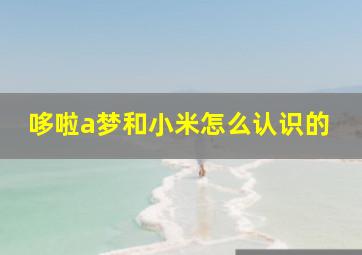 哆啦a梦和小米怎么认识的