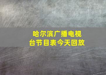 哈尔滨广播电视台节目表今天回放