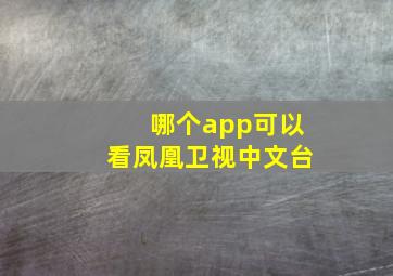 哪个app可以看凤凰卫视中文台