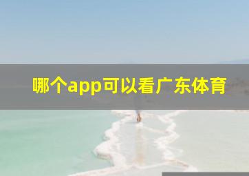 哪个app可以看广东体育