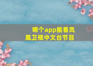 哪个app能看凤凰卫视中文台节目