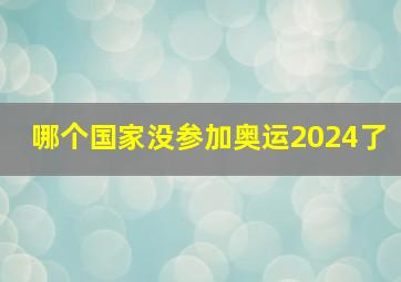 哪个国家没参加奥运2024了