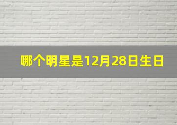 哪个明星是12月28日生日