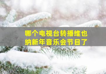 哪个电视台转播维也纳新年音乐会节目了