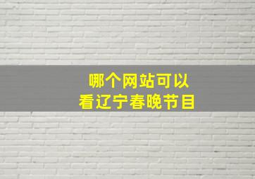 哪个网站可以看辽宁春晚节目