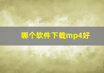 哪个软件下载mp4好