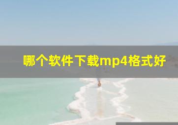 哪个软件下载mp4格式好